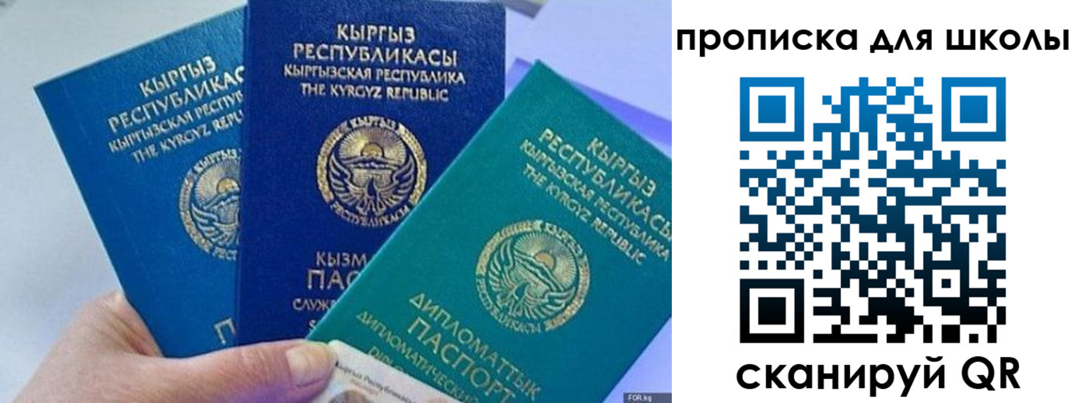 прописка регистрация в ЕАО